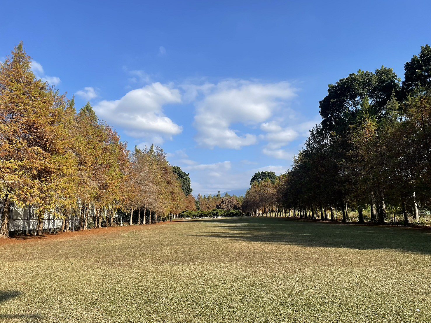 閒情驛棧〡台中包棟民宿 鄰近民宿的年度活動盛事